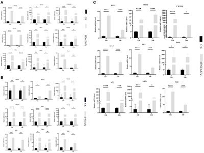 Swine IFN cocktail can reduce mortality and lessen the tissue injury caused by African swine-fever-virus-infected piglets